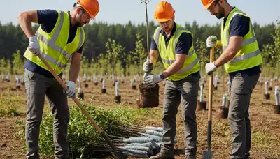 Tree planting service in Waltham, MA by local arborists for healthy residential landscapes