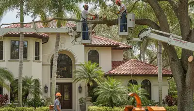 Tree service crew in Waltham, MA providing professional tree removal and trimming for local properties